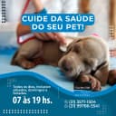Thumbnail para Vacinação de Pets: O Escudo Essencial para a Saúde e Longevidade