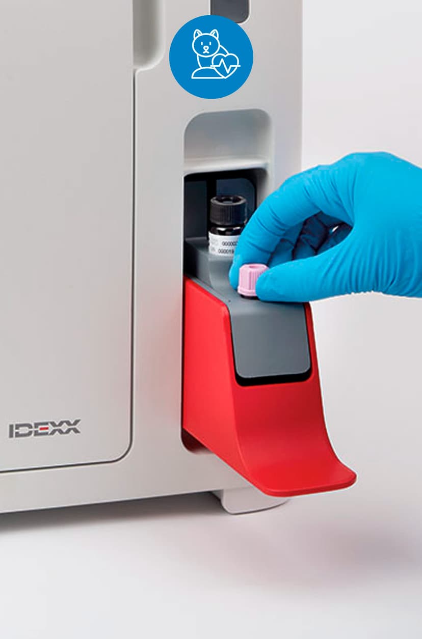 EXAMES LABORATORIAIS