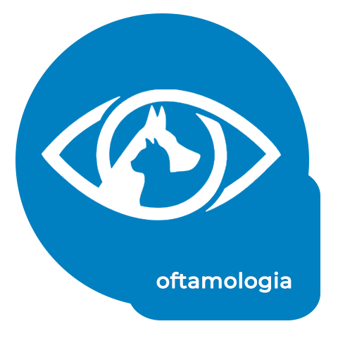 oftamologia pet