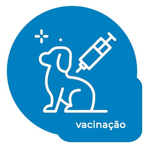 vacinação pet